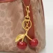 Cherry Keychain hang on bag