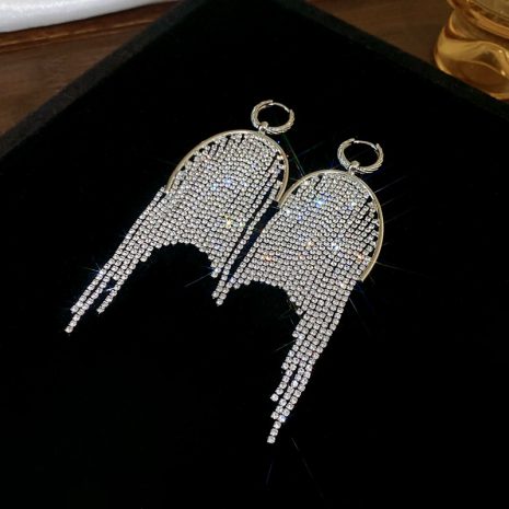 silver tassel earrings
