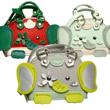 coin purse keychain collection